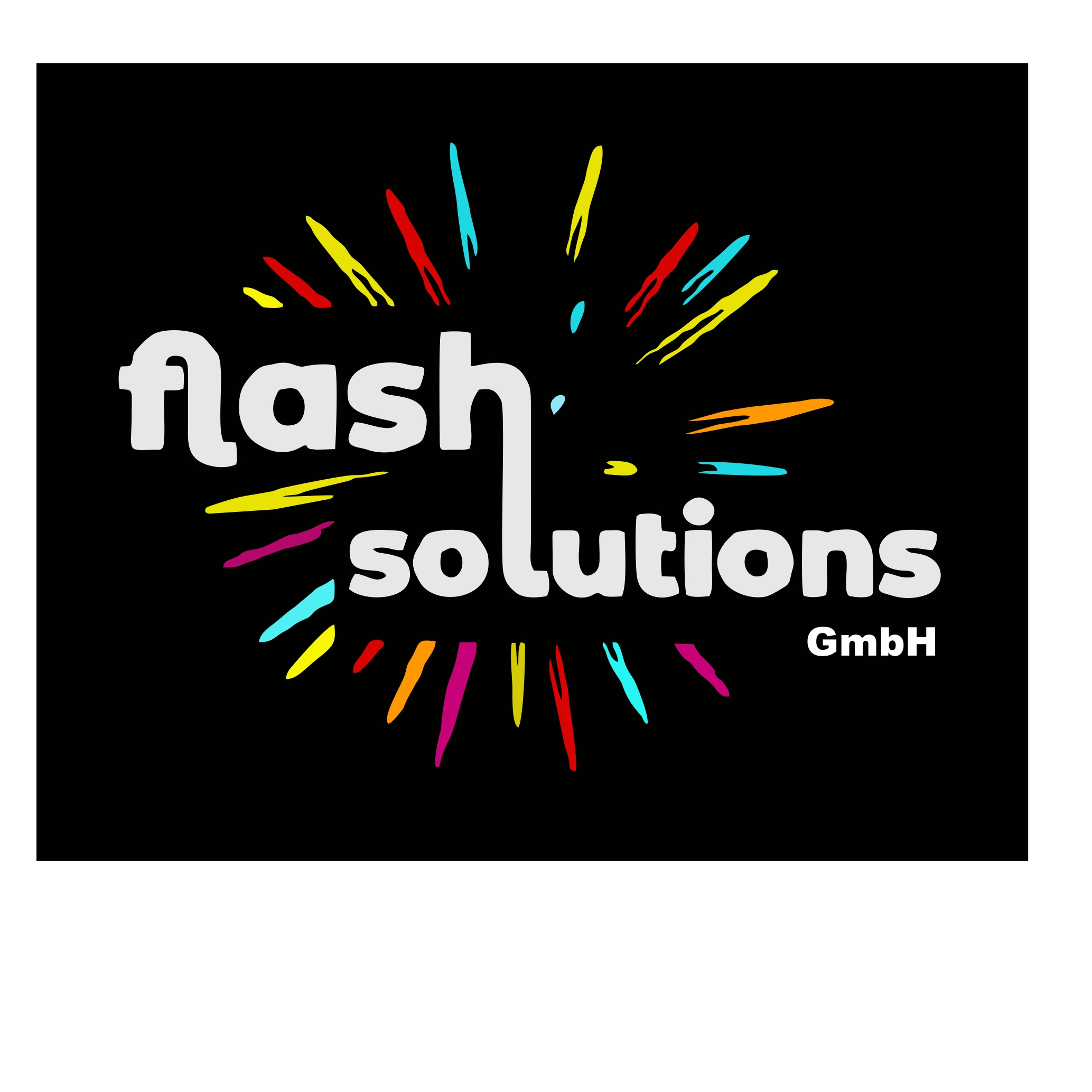 Logo Flashsolutions