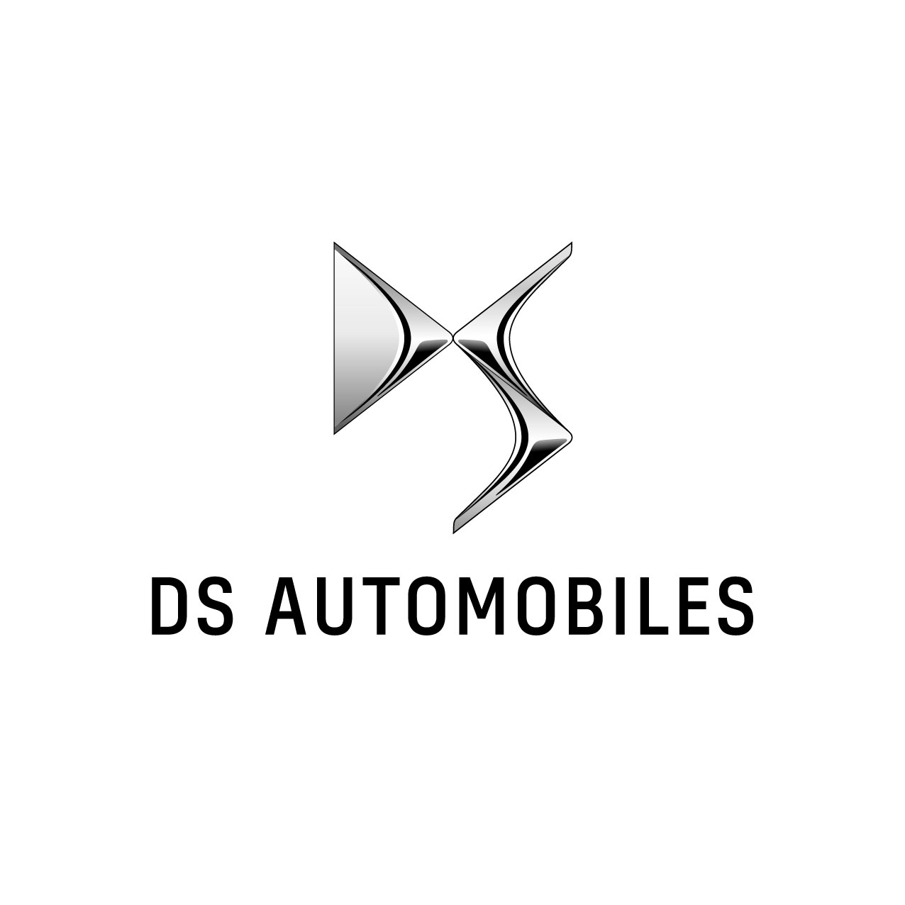 Ds Logo2019